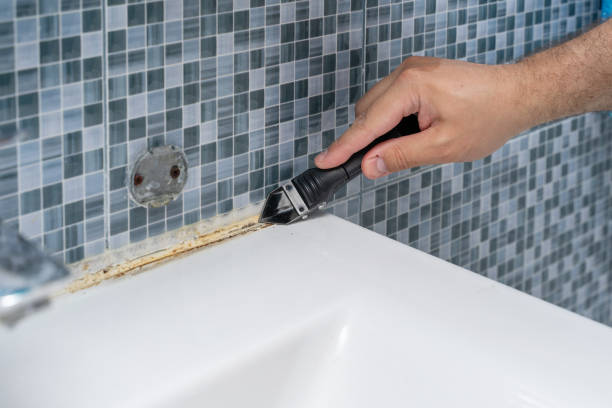 Best Residential Mold Removal  in Gilbert, MN