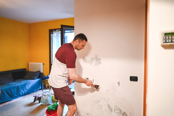 Best Emergency Mold Removal  in Gilbert, MN